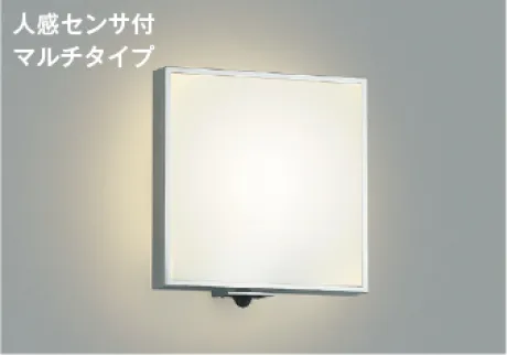 AU45213L