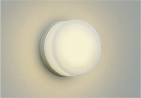 AU55633