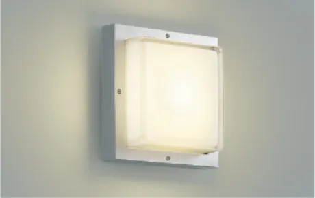 AU45915L