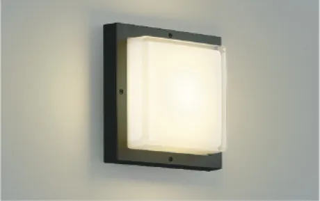 AU46391L