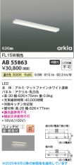 AB55863