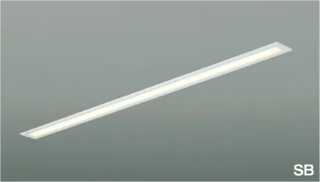 AD45408L