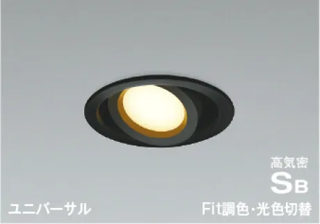 AD1150B99