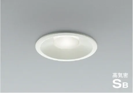 AD51099