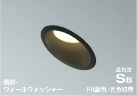 AD7318B99