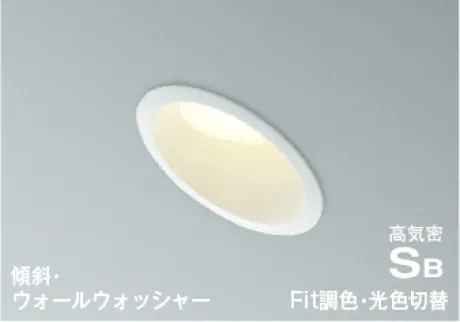 AD7318W99