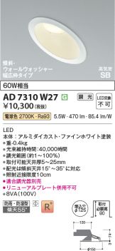 AD7310W27