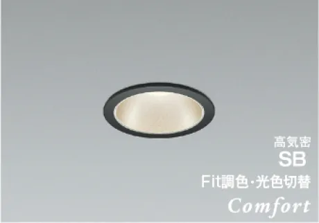 AD1251B99