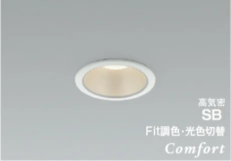AD1251W99