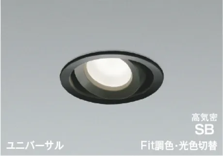 AD1270B99