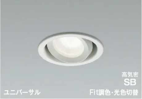 AD1270W99