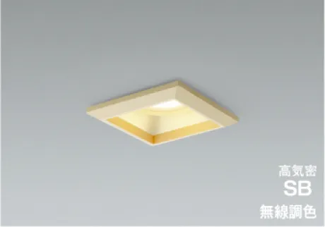 AD1291N99