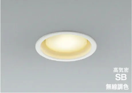 AD1293W99