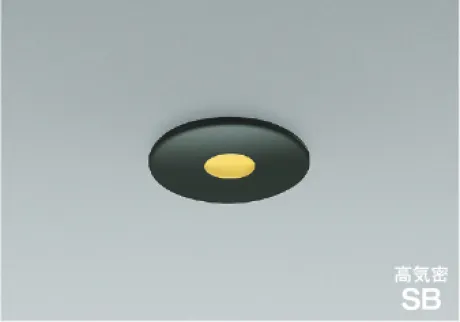 AD40455L