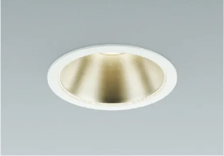 AD45809L