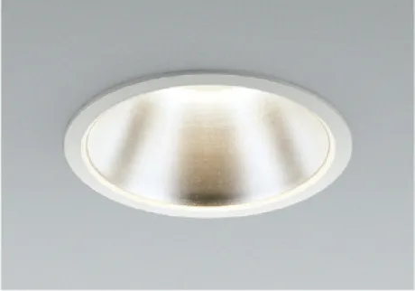 AD45811L
