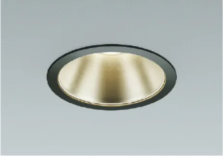 AD45819L
