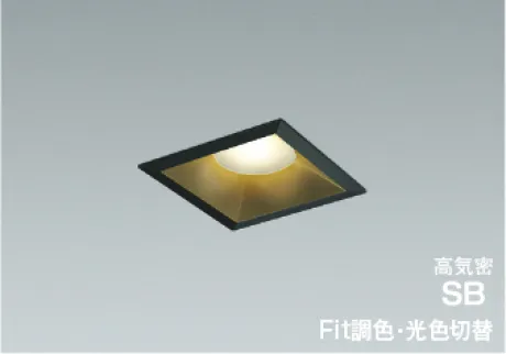 AD7129B99