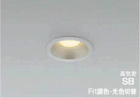 AD7145S99