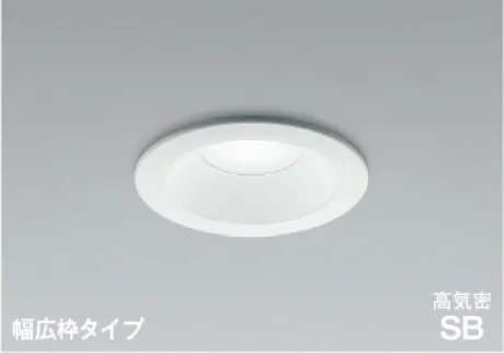 AD7304W50
