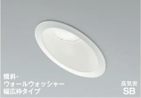 AD7311W50