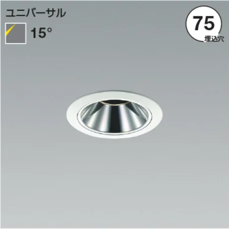 AD53558