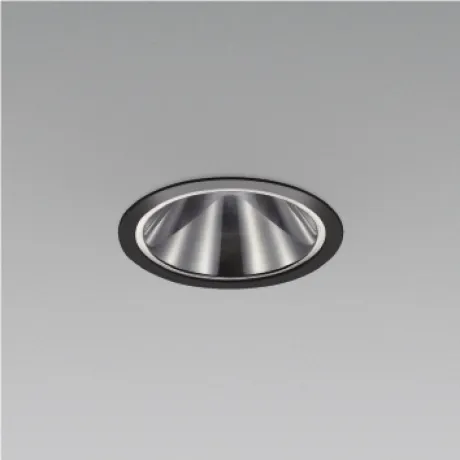 XD93555