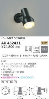 AU45243L