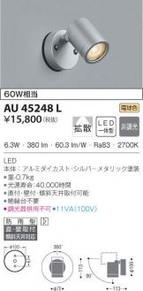 AU45248L