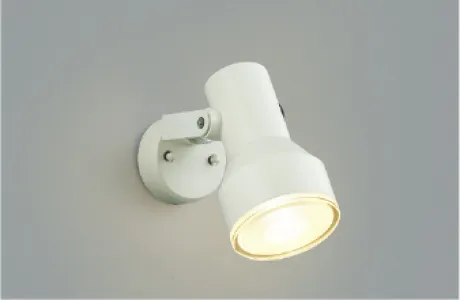 AU45242L