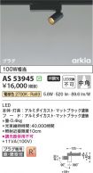 AS53945