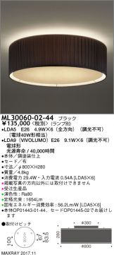 ML30060-02-44