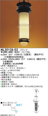ML30136-02