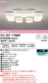 OC257170BR
