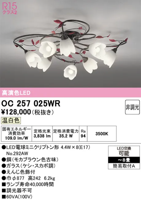 OC257025WR