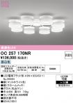 OC257170NR