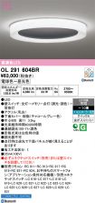 OL291604BR