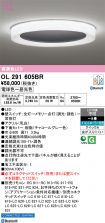 OL291605BR