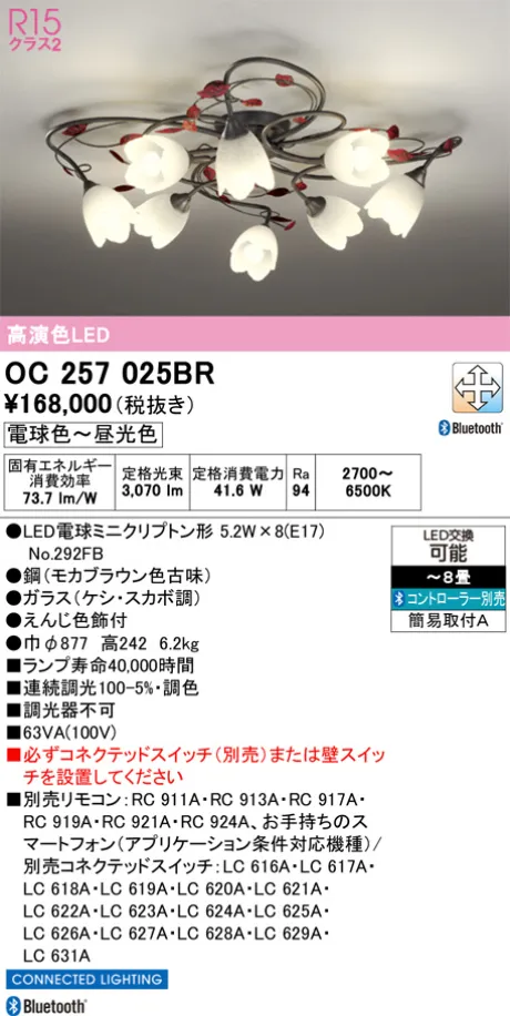 OC257025BR