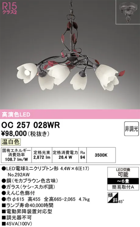 OC257028WR