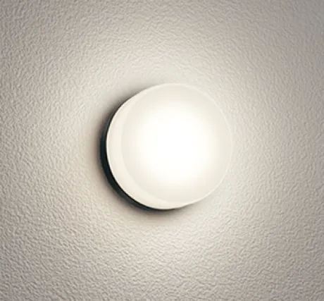 OG254822R