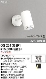 OG254363P1