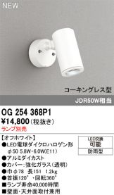 OG254368P1