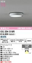 OG254519R