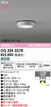OG254537R
