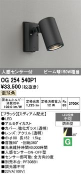 OG254540P1