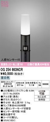 OG254663NCR