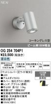OG254704P1