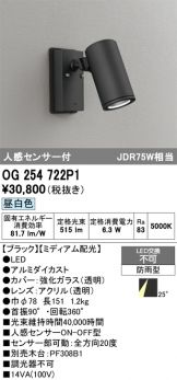 OG254722P1
