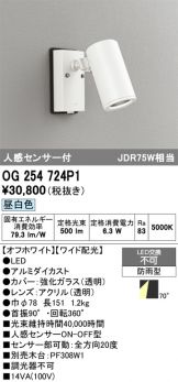 OG254724P1